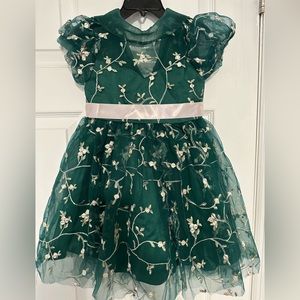 Girls Lace Embroidered Floral  Dress in Size 3T